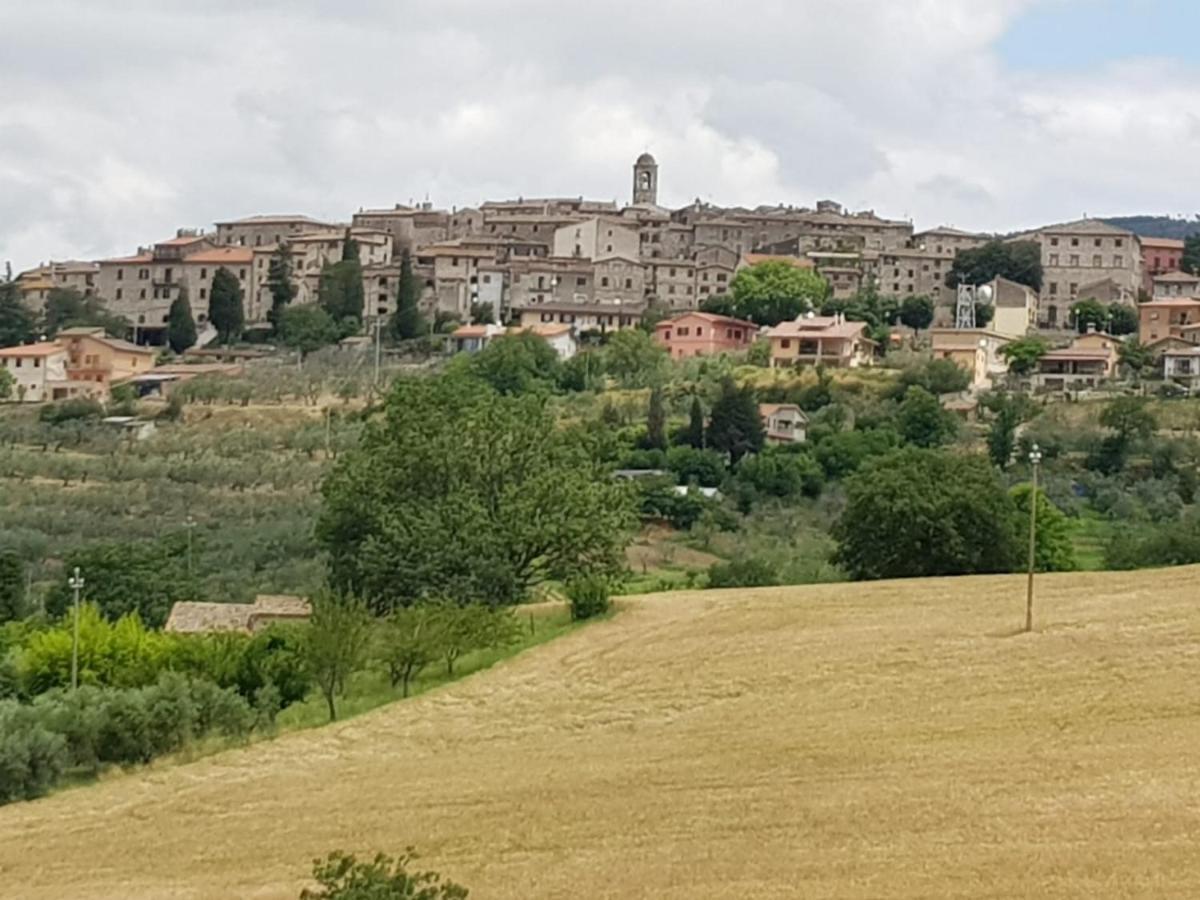 Al Ginepro Bed & Breakfast Montecchio  Dış mekan fotoğraf